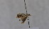  ( - BC NKU 09174)  @12 [ ] Unspecified (default): All Rights Reserved  Unspecified Unspecified