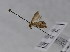  ( - BC NKU 09183)  @11 [ ] Unspecified (default): All Rights Reserved  Unspecified Unspecified