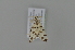  ( - BC MTD 01802)  @13 [ ] Unspecified (default): All Rights Reserved (2011) M. Nuss, Senckenberg Museum of Zoology, Dresden Senckenberg Museum of Zoology, Dresden