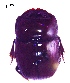  (Uroxys dilaticollis - IBS148)  @11 [ ] CreativeCommons - Attribution Non-Commercial Share-Alike (2018) Instituto de Biología Subtropical Instituto de Biología Subtropical