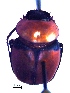  ( - IBS159)  @11 [ ] CreativeCommons - Attribution Non-Commercial Share-Alike (2018) Instituto de Biología Subtropical Instituto de Biología Subtropical
