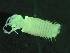  ( - ZMBN_143450)  @11 [ ] Creative Commons BY NC SA (2024) University of Bergen Natural History Collections