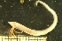  ( - ZMBN_149301)  @11 [ ] Creative Commons BY NC SA (2022) University of Bergen Natural History Collections