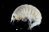  ( - ZMBN_155208)  @11 [ ] Creative Commons BY SA (2024) University of Bergen Natural History Collections