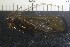  ( - NI Tri 2)  @11 [ ] CreativeCommons - Attribution Non-Commercial Share-Alike (2017) Agnes-Katharina Kreiling Holar University