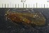  ( - NI Tri 3)  @11 [ ] CreativeCommons - Attribution Non-Commercial Share-Alike (2017) Agnes-Katharina Kreiling Holar University