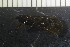  ( - NI Tri 4)  @11 [ ] CreativeCommons - Attribution Non-Commercial Share-Alike (2017) Agnes-Katharina Kreiling Holar University