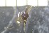  ( - NI Eph 5)  @11 [ ] CreativeCommons - Attribution Non-Commercial Share-Alike (2017) Agnes-Katharina Kreiling Holar University