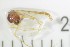  ( - NI Chi 1)  @11 [ ] CreativeCommons - Attribution Non-Commercial Share-Alike (2017) Agnes-Katharina Kreiling Holar University