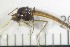  ( - NI Chi 4)  @11 [ ] CreativeCommons - Attribution Non-Commercial Share-Alike (2017) Agnes-Katharina Kreiling Holar University