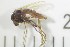 ( - NI Chi 9)  @11 [ ] CreativeCommons - Attribution Non-Commercial Share-Alike (2017) Agnes-Katharina Kreiling Holar University