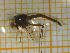  ( - NI Chi 60)  @11 [ ] CreativeCommons - Attribution Non-Commercial Share-Alike (2018) Agnes-Katharina Kreiling Holar University