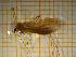 ( - NI Lim 11)  @11 [ ] CreativeCommons - Attribution Non-Commercial Share-Alike (2018) Agnes-Katharina Kreiling Holar University