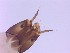  ( - HU Chi 2)  @11 [ ] CreativeCommons - Attribution Non-Commercial Share-Alike (2017) Agnes-Katharina Kreiling Holar University
