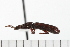  ( - Hcmisc-020)  @12 [ ] CreativeCommons - Attribution (2008) Unspecified Centre for Biodiversity Genomics
