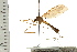  ( - Hcmisc-097)  @13 [ ] CreativeCommons - Attribution (2009) Unspecified Centre for Biodiversity Genomics
