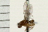  ( - Hcmisc-102)  @12 [ ] CreativeCommons - Attribution (2009) Unspecified Centre for Biodiversity Genomics