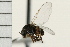  ( - Hcmisc-120)  @12 [ ] CreativeCommons - Attribution (2009) Unspecified Centre for Biodiversity Genomics