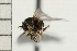  ( - Hcmisc-122)  @12 [ ] CreativeCommons - Attribution (2009) Unspecified Centre for Biodiversity Genomics