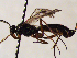  ( - FICH-001825)  @12 [ ] CreativeCommons - Attribution Non-Commercial (2016) Marko Mutanen University of Oulu