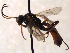 ( - FICH-002016)  @11 [ ] CreativeCommons - Attribution Non-Commercial (2016) Marko Mutanen University of Oulu