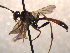  ( - FICH-002060)  @11 [ ] CreativeCommons - Attribution Non-Commercial (2016) Marko Mutanen University of Oulu