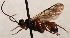  ( - FICH-002061)  @13 [ ] CreativeCommons - Attribution Non-Commercial (2016) Marko Mutanen University of Oulu
