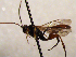  ( - FICH-002064)  @12 [ ] CreativeCommons - Attribution Non-Commercial (2016) Marko Mutanen University of Oulu