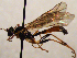  ( - FICH-002088)  @12 [ ] CreativeCommons - Attribution Non-Commercial (2016) Marko Mutanen University of Oulu