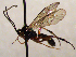  ( - FICH-002108)  @11 [ ] CreativeCommons - Attribution Non-Commercial (2016) Marko Mutanen University of Oulu