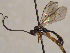  ( - FICH-002116)  @13 [ ] CreativeCommons - Attribution Non-Commercial (2016) Marko Mutanen University of Oulu