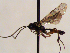  ( - FICH-002133)  @11 [ ] CreativeCommons - Attribution Non-Commercial (2016) Marko Mutanen University of Oulu