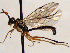  ( - FICH-002163)  @13 [ ] CreativeCommons - Attribution Non-Commercial (2016) Marko Mutanen University of Oulu