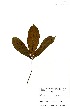  ( - GH0231)  @11 [ ] No Rights Reserved  Unspecified Unspecified