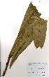  ( - GH0270)  @11 [ ] No Rights Reserved  Unspecified Unspecified