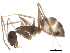  ( - BIORTP-022-B04)  @11 [ ] creative commons  non-commercial only (2016) IIBZ Instituto de Investigaciones Botanicas y Zoologicas, Universidad Autonoma de Santo Domingo UASD