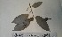  ( - FHO-DB7393)  @11 [ ] Copyright (2013) Unspecified University of Oxford, Department of Plant Sciences