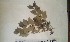  ( - FHO-EP4022)  @11 [ ] Copyright (2013) Unspecified University of Oxford, Department of Plant Sciences