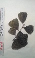  ( - FHO-CY14168)  @11 [ ] Copyright (2013) Unspecified University of Oxford, Department of Plant Sciences