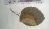 ( - FHO-DB6038)  @11 [ ] Copyright (2013) Unspecified University of Oxford, Department of Plant Sciences