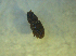  ( - UNEIECOL00015)  @11 [ ] CreativeCommons - Attribution Non-Commercial Share-Alike  Unspecified Unspecified
