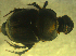  ( - UNEIECOL00001)  @11 [ ] CreativeCommons - Attribution Non-Commercial Share-Alike  Unspecified Unspecified