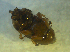  ( - UNEIECOL00036)  @11 [ ] CreativeCommons - Attribution Non-Commercial Share-Alike  Unspecified Unspecified