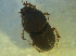  ( - UNEIECOL00037)  @11 [ ] CreativeCommons - Attribution Non-Commercial Share-Alike  Unspecified Unspecified