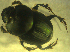  ( - UNEIECOL00004)  @11 [ ] CreativeCommons - Attribution Non-Commercial Share-Alike  Unspecified Unspecified