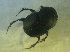  ( - UNEIECOL00057)  @11 [ ] CreativeCommons - Attribution Non-Commercial Share-Alike  Unspecified Unspecified
