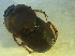  ( - UNEIECOL00005)  @11 [ ] CreativeCommons - Attribution Non-Commercial Share-Alike  Unspecified Unspecified