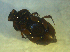  ( - UNEIECOL00006)  @11 [ ] CreativeCommons - Attribution Non-Commercial Share-Alike  Unspecified Unspecified