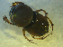  ( - UNEIECOL00008)  @11 [ ] CreativeCommons - Attribution Non-Commercial Share-Alike  Unspecified Unspecified
