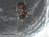  ( - UNEIE00004)  @12 [ ] CreativeCommons  Attribution Non-Commercial Share-Alike  Unspecified University of New England, Australia